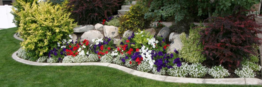 Lawn Care and Landscaping in Grapevine, TX