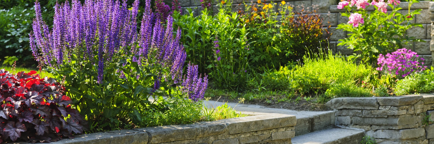 Lawn Care and Landscaping in Grapevine, TX