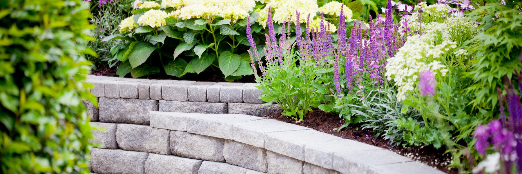 Lawn Care and Landscaping in Grapevine, TX