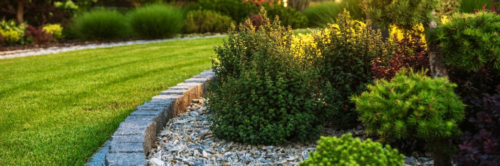 Lawn Care and Landscaping in Grapevine, TX